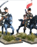 Polish army cavalry command