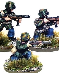 Italian airborne paratroopers section