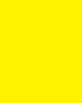 Flash gitz yellow (air)