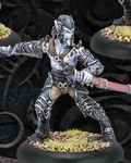 Blighted Nyss Archers / Blighted Nyss swordsmen?