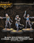Black 13th strike force