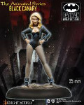 BLACK CANARY (animated series)?