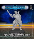 Paladin Commander Iron Star Alliance Solo