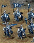 Knights of dol amroth