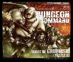 Dungeon command: blood of gruumsh