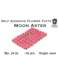 Moon Aster