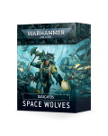 DATACARDS: SPACE WOLVES?