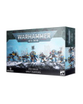 SPACE WOLVES GREY HUNTERS?