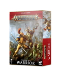 Warhammer Age of Sigmar Warrior Starter Set?