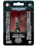 Vindicare Assassin?