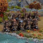 Dwarf brock riders regiment