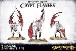 Crypt Flayers / Crypt Infernal Courtier