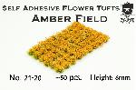 Amber Field