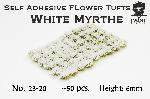 White Myrthe