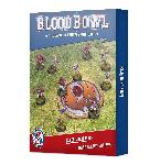 BLOOD BOWL: ELVEN UNION PITCH & DUGOUTS