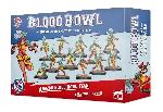 Amazon Blood Bowl Team Kara Temple Harpies