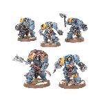 Wolf Guard Terminators