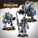 Cygnar Storm Legion Battlegroup Box