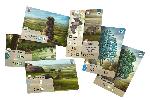 Le�ne rozdanie: Dartmoor