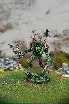 Moss Hermit