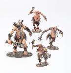 Stomper Tribe
